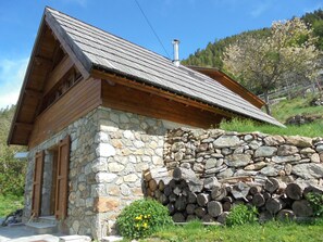 Exteriör