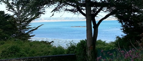 vue du jardin, la mer est juste en bas !