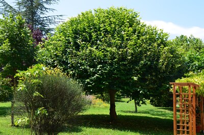 Terrevigne a haven of peace in Provence