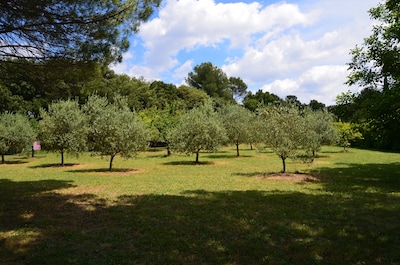 Terrevigne a haven of peace in Provence