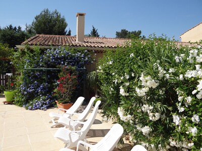 Terrevigne a haven of peace in Provence