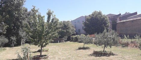 jardin et vue maison (beige aux volets verts)