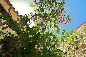 Außendetails