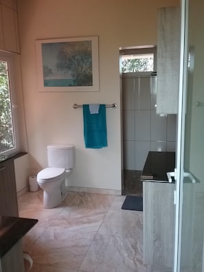 Large bathroom with walkin shower