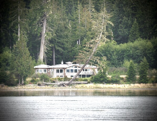 Secluded - surrounded by trees, water and wildlife - very special place