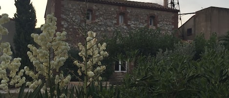 Vue sur le mas depuis le jardin.