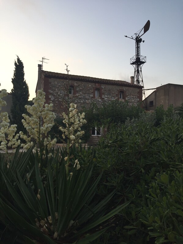 Vue sur le mas depuis le jardin.