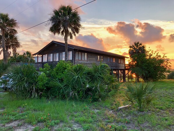 Looking from E. Ashely Ave