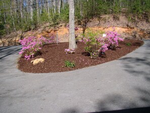 Circular Driveway