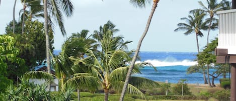 Gorgeous view from lanai