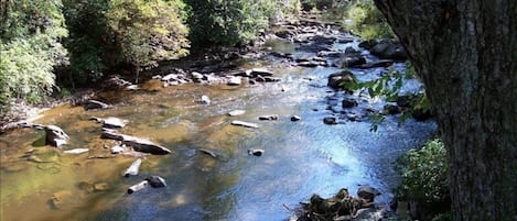 Beautiful Brasstown Creek