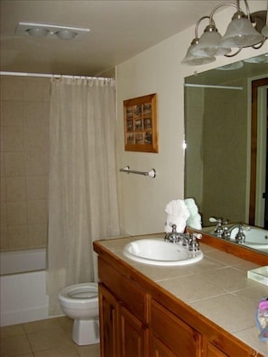 Master bathroom