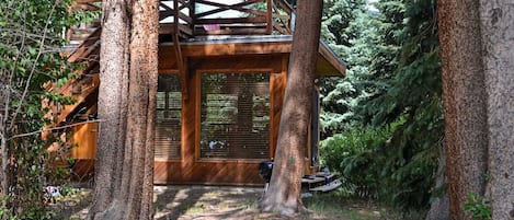 Cabin nestled in the trees.  Gorgeous!  Great windows, great views!!