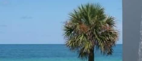 Gulf view from the deck in beautiful Belleair Beach Florida