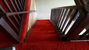 the red shag carpet stairs up to the loft in Grampy's cabin!