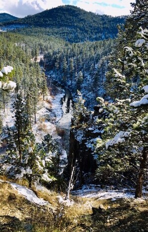 Spring Creek