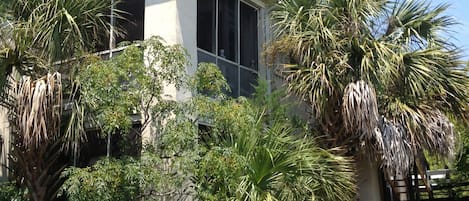 Corner of house with deck
