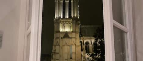 View of Notre Dame from Window