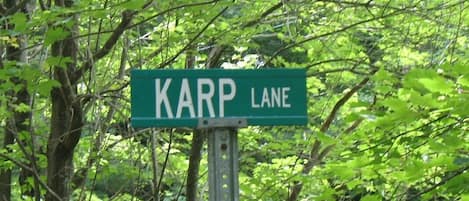 Welcome to Karp Lane!