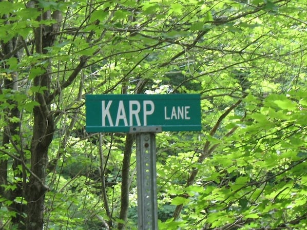 Welcome to Karp Lane!