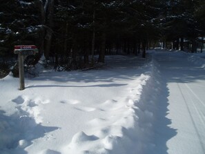 Esportes de neve e esqui