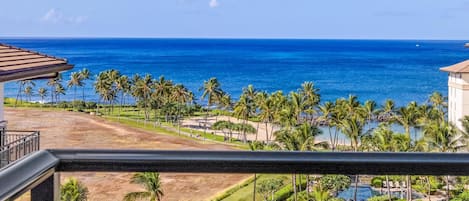 Spectacular Ocean View from your lanai!