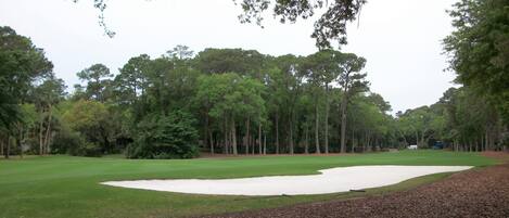 Fairway View #2 Harbour Town Golf Links