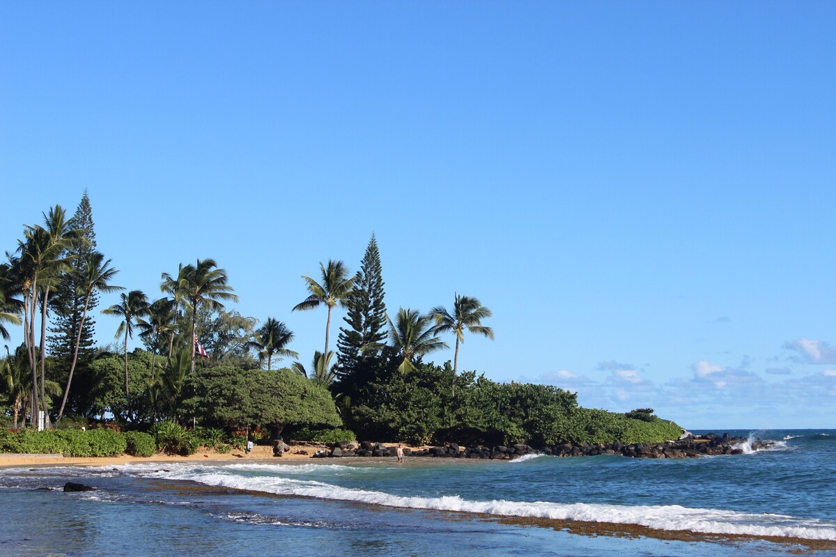**DIRECT OCEAN FRONT W/BIG VIEWS… Kapaa Sands**