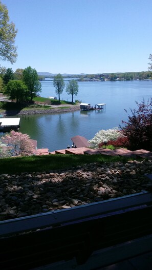 Lakefront view from patio and porch swing