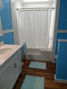 Pet Friendly Beach Cottage ¼ mile from St. Joe Bay