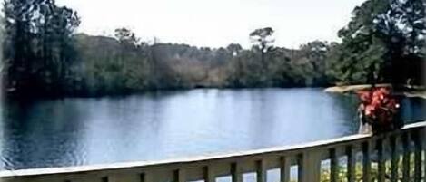 View of the Lake from the Deck