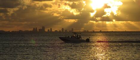 Back of the House - Brilliant sunset with St. Pete in the background.