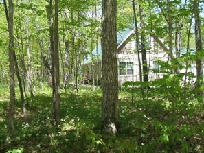 Side Of Chalet From The Woods