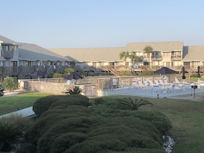 View of the pool area