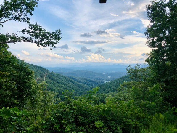 This view is the best one you have seen! Just zoom in! Wow!

June 2020