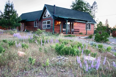Yosemite Hilltop Cabins, Lupin Cabin,15 min to the Valley floor, Wifi