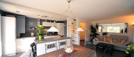 Cuisine et sejour / kitchen , dining and living area