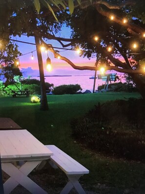 Picnic under the Gumbo Limbo Tree
