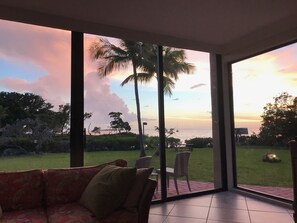 From living room- side window 