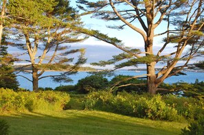 View from the front porch