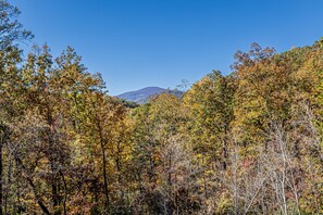 Mountain views.