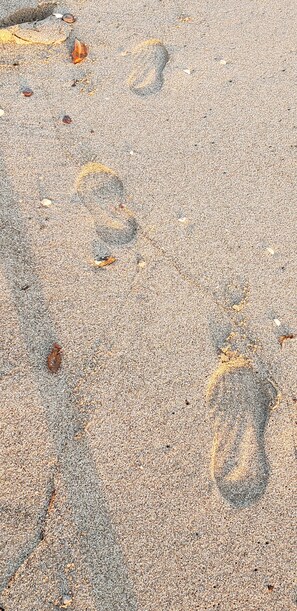 Beach footprint
