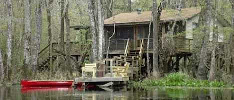 View from the river