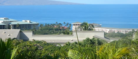 Ocean View From Lanai