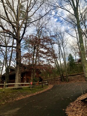 Driveway leading to the cabin.