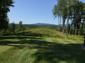 View from kitchen