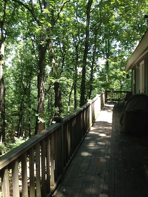 Back Deck and Main Entrance Door
