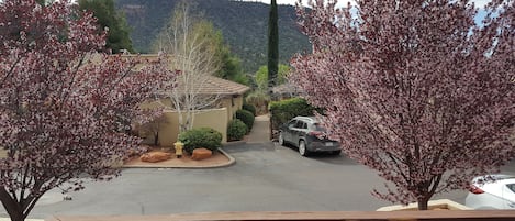 View from the living room or deck.