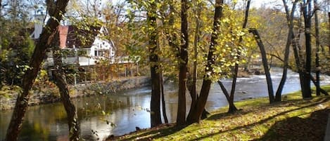  Chattahoochie River out back.