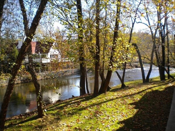 Overnatningsstedets område